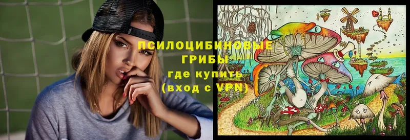 Галлюциногенные грибы MAGIC MUSHROOMS  hydra tor  Шагонар  наркотики 